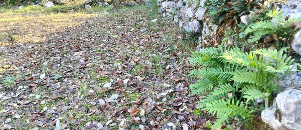 Terreno em Chãos de 1 600 m²