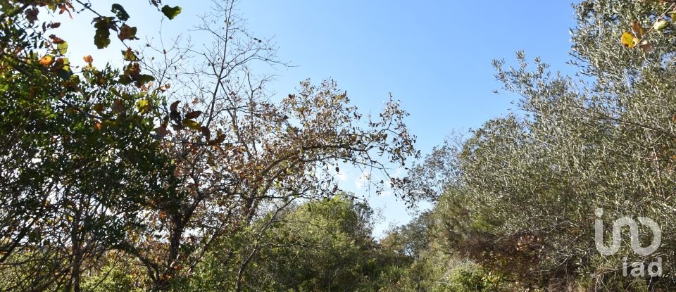 Terreno em Chãos de 1 600 m²