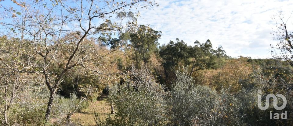 Terreno em Chãos de 1 600 m²