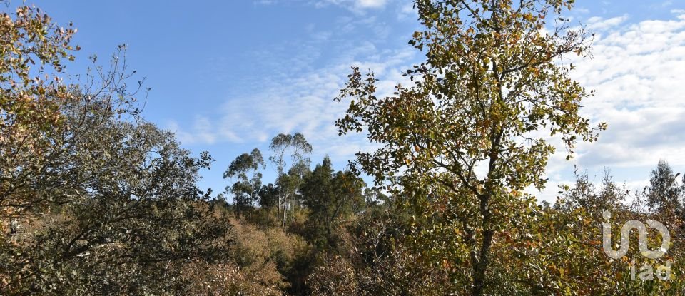 Terreno em Chãos de 1 600 m²