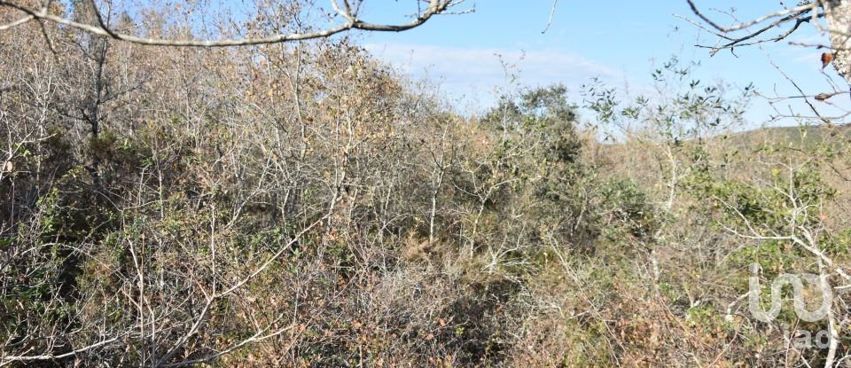 Terreno em Chãos de 1 600 m²