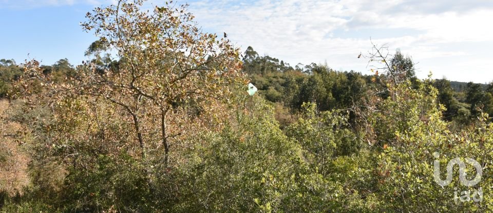 Terreno em Chãos de 1 600 m²