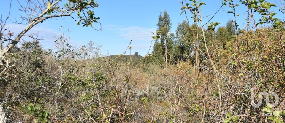 Terreno em Chãos de 1 600 m²