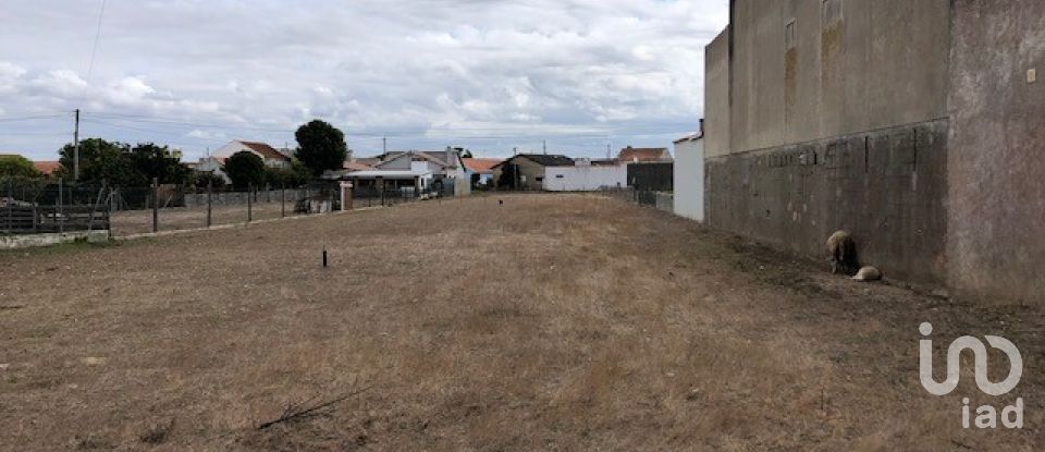 Terreno para construção em Monte Real e Carvide de 2 160 m²