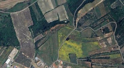 Land in Marmeleira e Assentiz of 23,240 m²