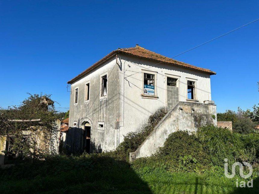 Terrain à Calvaria de Cima de 23 780 m²