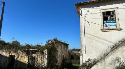 Terrain à Calvaria de Cima de 23 780 m²