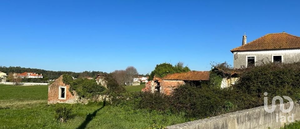 Terrain à Calvaria de Cima de 23 780 m²