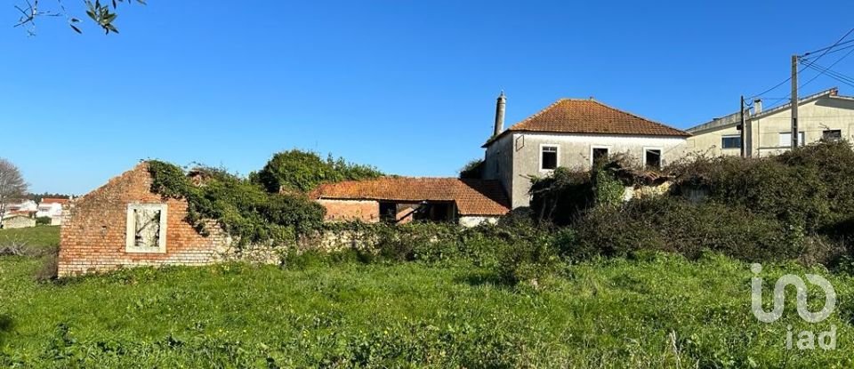 Terrain à Calvaria de Cima de 23 780 m²