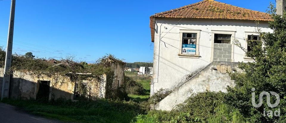 Terrain à Calvaria de Cima de 23 780 m²