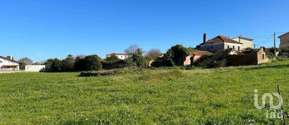 Terrain à Calvaria de Cima de 23 780 m²