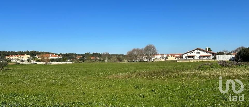 Terrain à Calvaria de Cima de 23 780 m²