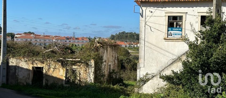 Terrain à Calvaria de Cima de 23 780 m²