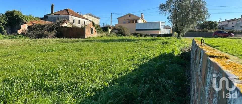 Terrain à Calvaria de Cima de 23 780 m²