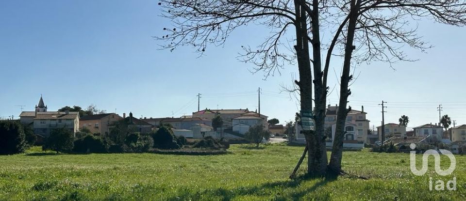 Terrain à Calvaria de Cima de 23 780 m²