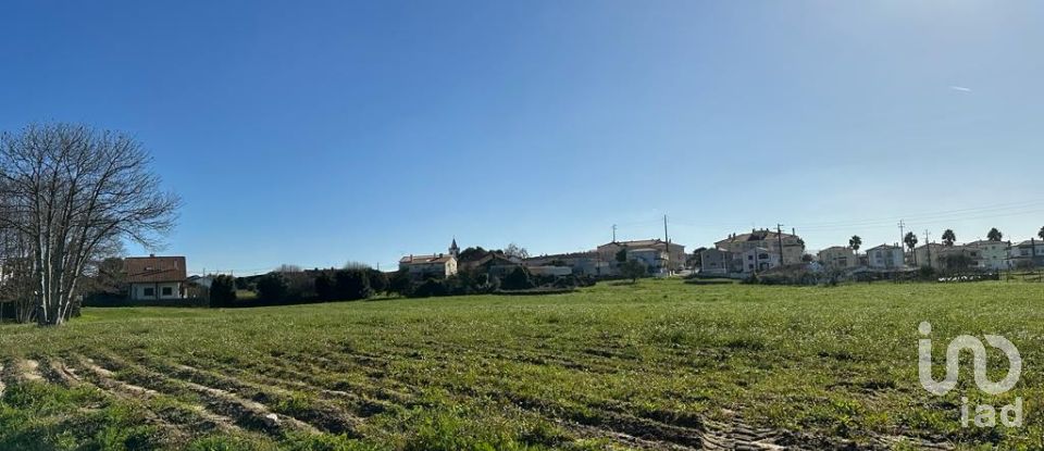 Terrain à Calvaria de Cima de 23 780 m²