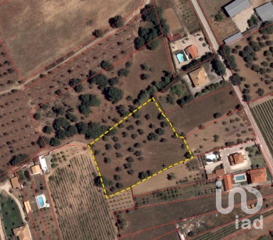 Agricultural land in Quinta do Anjo of 6,200 m²