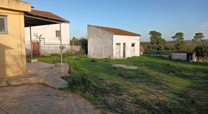 Village house T3 in Quinta do Anjo of 123 m²