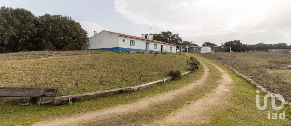 Quinta T3 em Fronteira de 155 m²