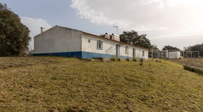 Quinta T3 em Fronteira de 155 m²