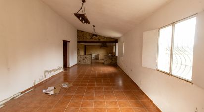 Quinta T3 em Fronteira de 155 m²