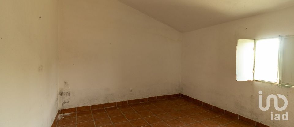 Quinta T3 em Fronteira de 155 m²