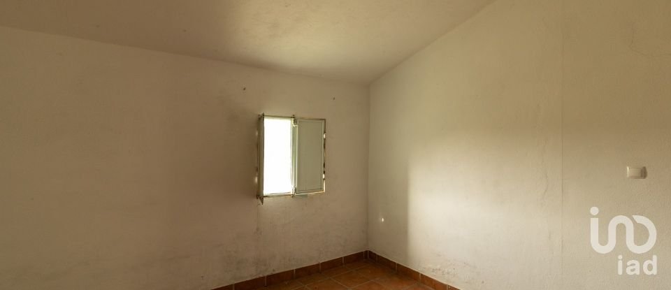 Quinta T3 em Fronteira de 155 m²