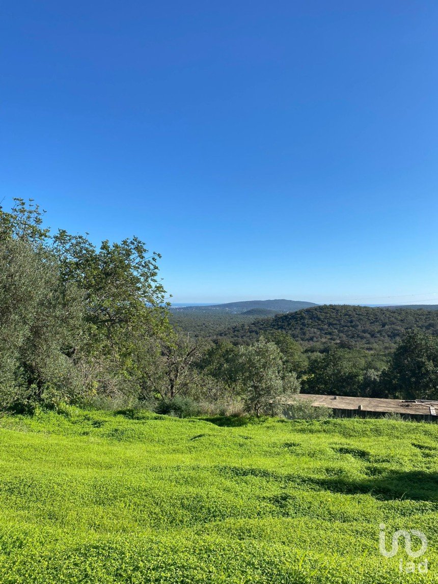 Agricultural land in São Brás de Alportel of 2,420 m²