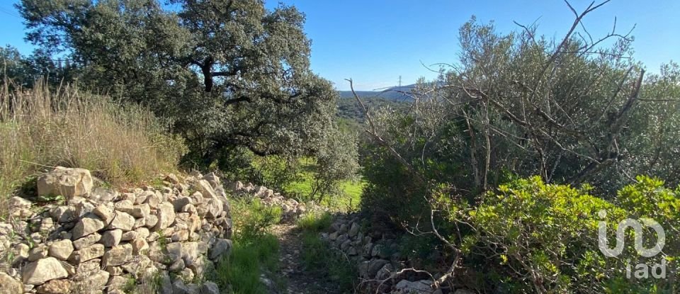 Agricultural land in São Brás de Alportel of 2,420 m²