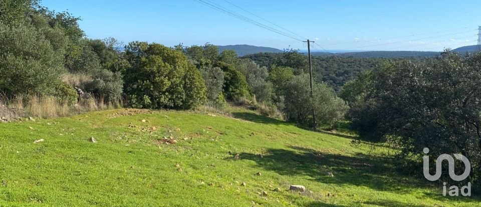 Agricultural land in São Brás de Alportel of 2,420 m²