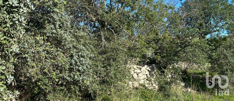 Agricultural land in São Brás de Alportel of 2,420 m²