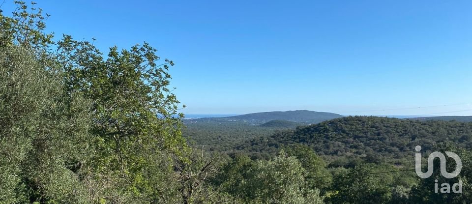 Agricultural land in São Brás de Alportel of 2,420 m²