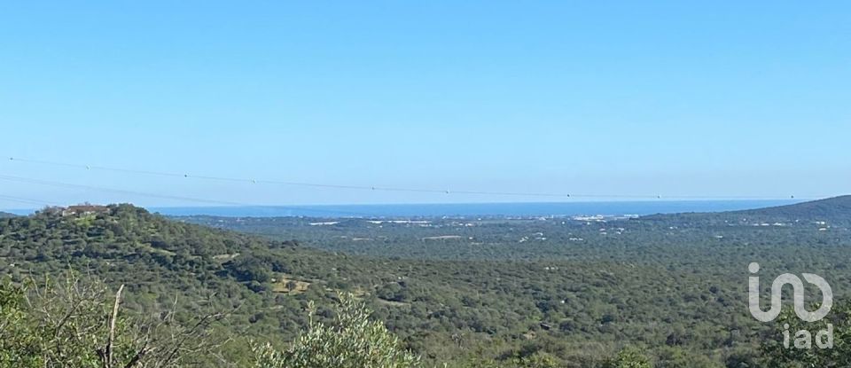 Agricultural land in São Brás de Alportel of 2,420 m²