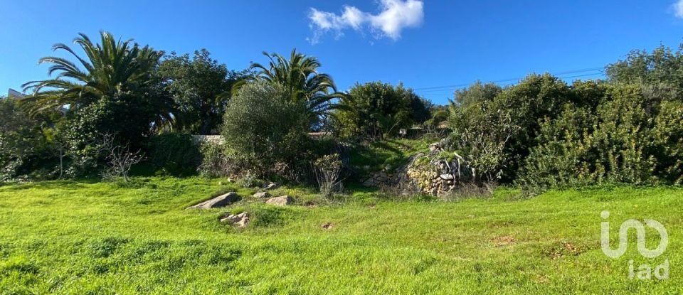 Agricultural land in São Brás de Alportel of 2,420 m²