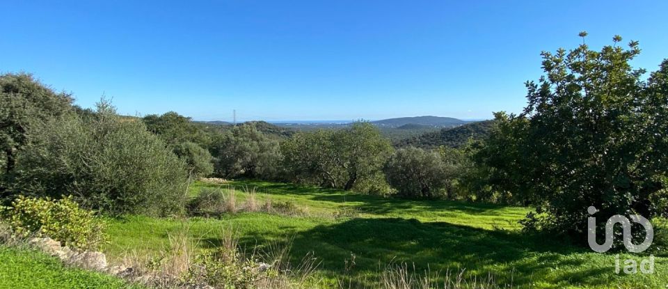 Agricultural land in São Brás de Alportel of 2,420 m²