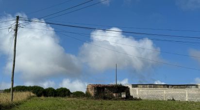 Terreno para construção em Alcobaça e Vestiaria de 2 750 m²