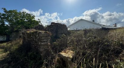 Terreno para construção em Alcobaça e Vestiaria de 2 750 m²