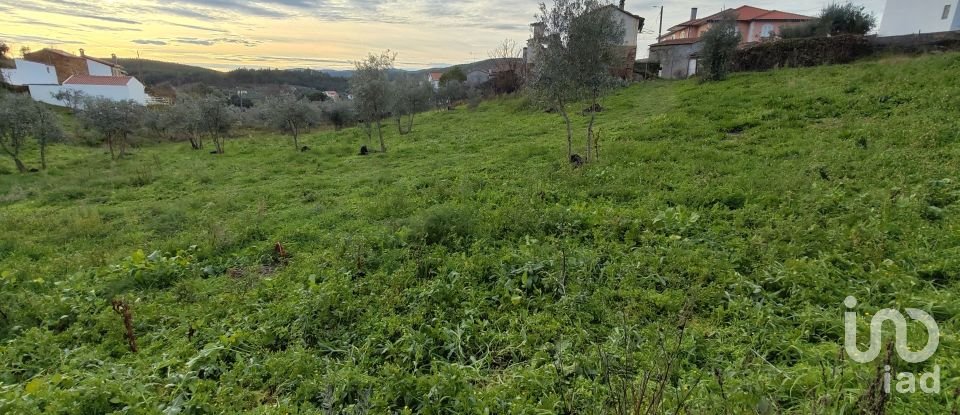 Terreno em Alvares de 3 000 m²