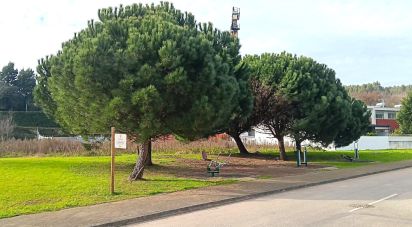 Land in Oliveira (Santa Maria) of 210 m²