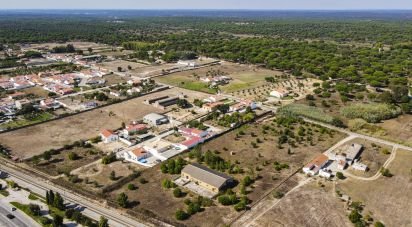 Terreno para construção em Vendas Novas de 15 000 m²