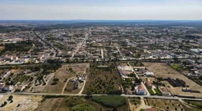 Terreno para construção em Vendas Novas de 15 000 m²