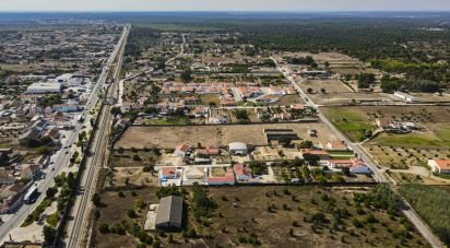 Terreno para construção em Vendas Novas de 15 000 m²