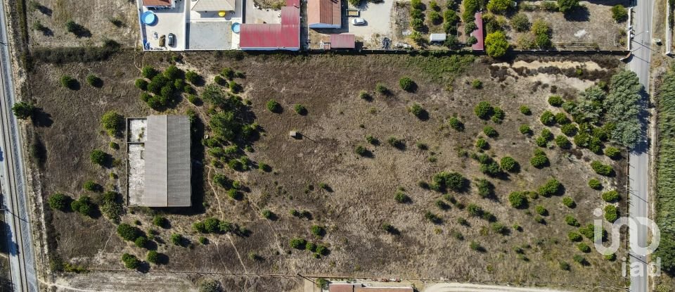 Terreno para construção em Vendas Novas de 15 000 m²