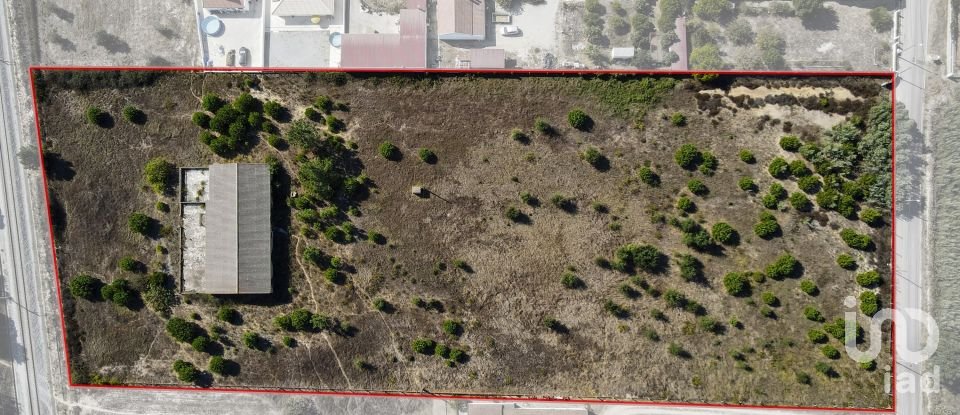 Terreno para construção em Vendas Novas de 15 000 m²