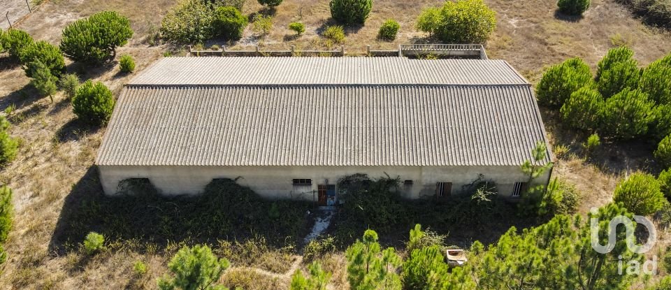 Terreno para construção em Vendas Novas de 15 000 m²