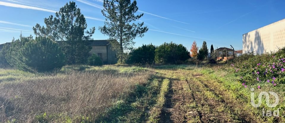 Terreno para construção em Vendas Novas de 15 000 m²