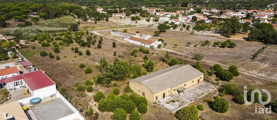 Terreno para construção em Vendas Novas de 15 000 m²