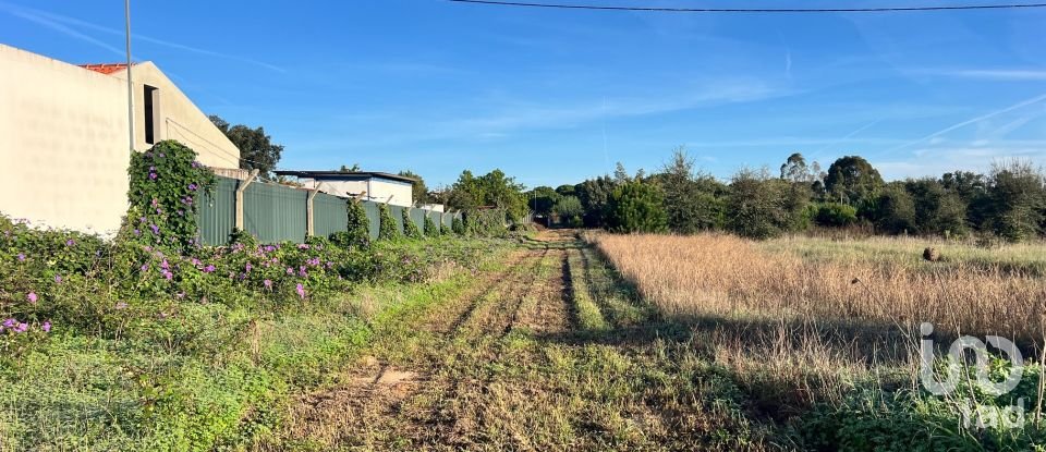 Terreno para construção em Vendas Novas de 15 000 m²