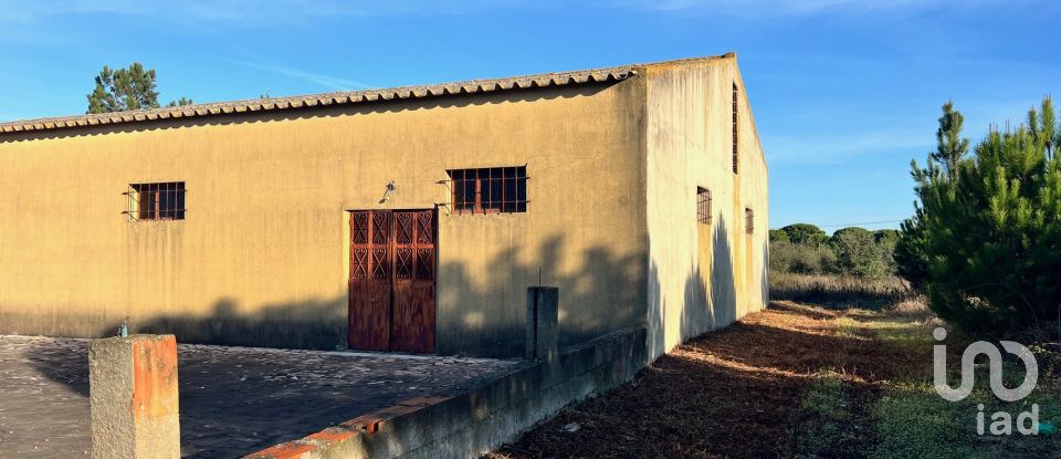 Terreno para construção em Vendas Novas de 15 000 m²