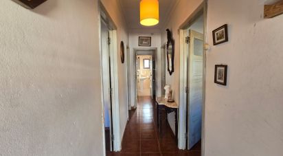 Casa de aldeia T3 em Lamas e Cercal de 50 m²